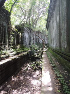 DSCN4612.JPG